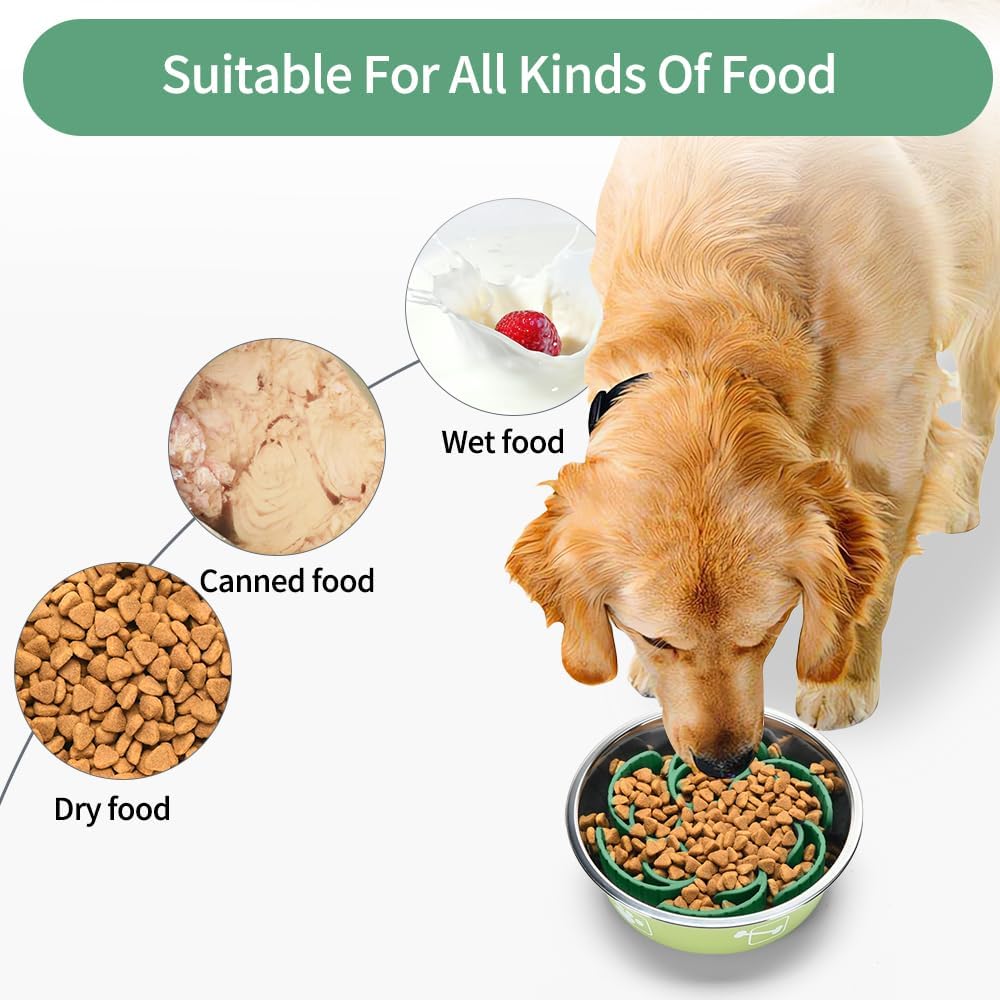 Slow Feeder Dog Bowls Insert,Third Generation upgradedSuper Firm Eating Bowl（Cuttable） for Large Breed and Medium Small Size Compatible with Regular Elevated Metal Glass Dog Bowl (Green)