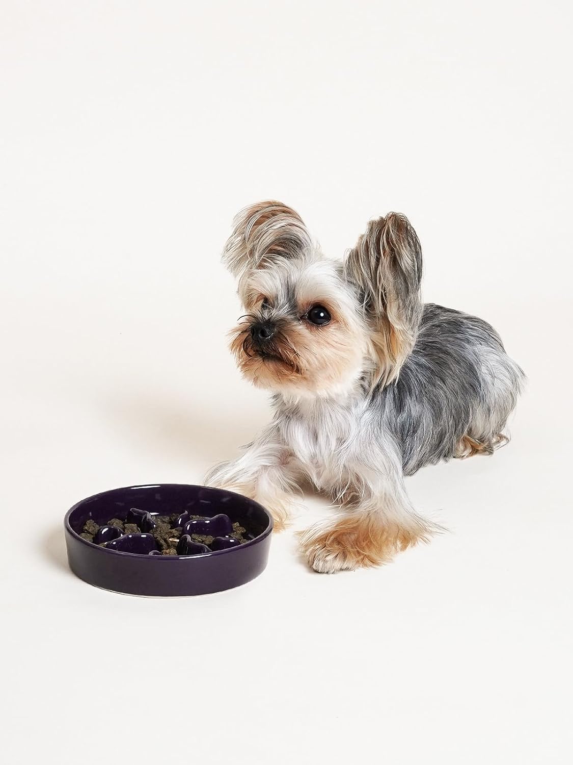 Ceramic Slow Feeder Dog Bowls Small Breed, 0.5 Cups Dog Food Dish for Fast Eaters, Puzzle Bowl for Small Dogs and Cats, 5.5 Inch-Purple