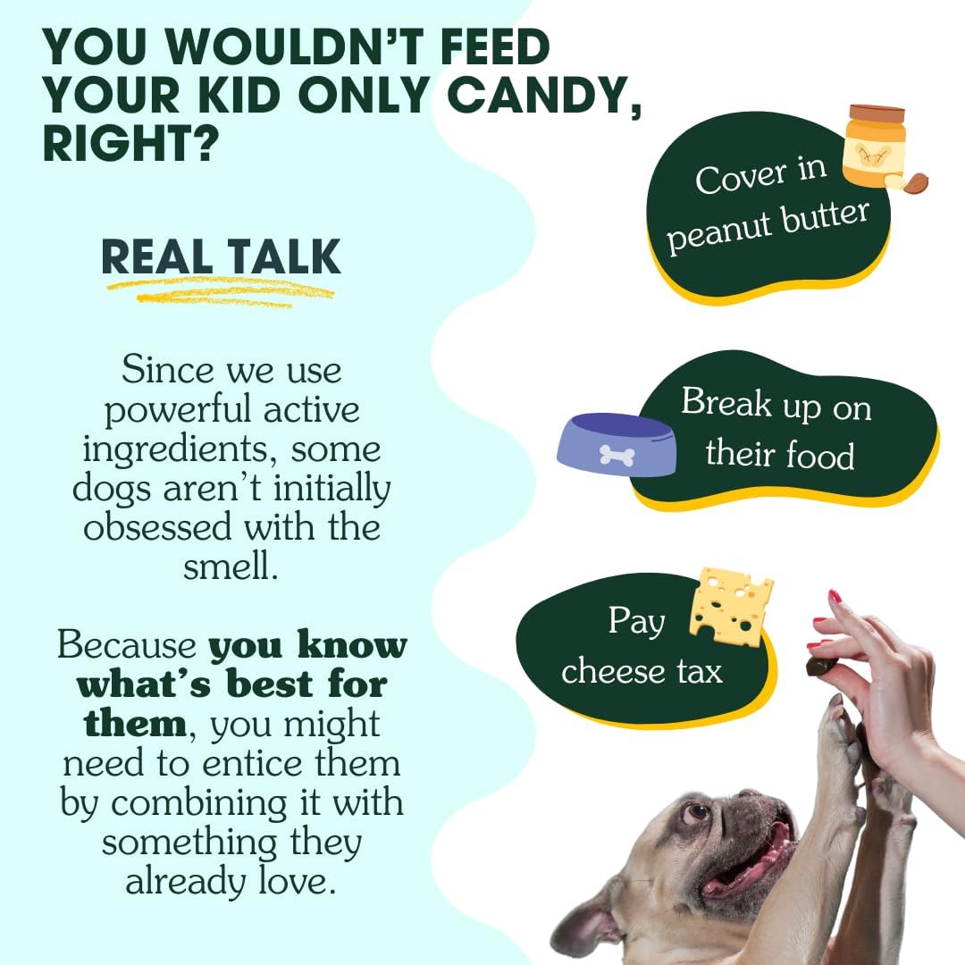 Arterra Longevity Multivitamin for Dogs – 50% Active Ingredients – Vet-Formulated Daily Soft Chews for Gut, Brain, Joint & Immune Health – Human-Grade Supplement | 30 Count