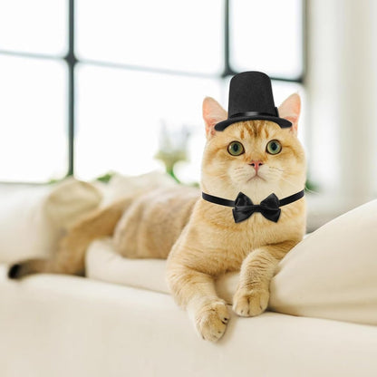 Pet Dog Formal Accessories Set 2Pcs Dogs Top Hat with Bowtie Cat Wedding Tuxedo Necktie Costumes for Puppies Kittens (Black)