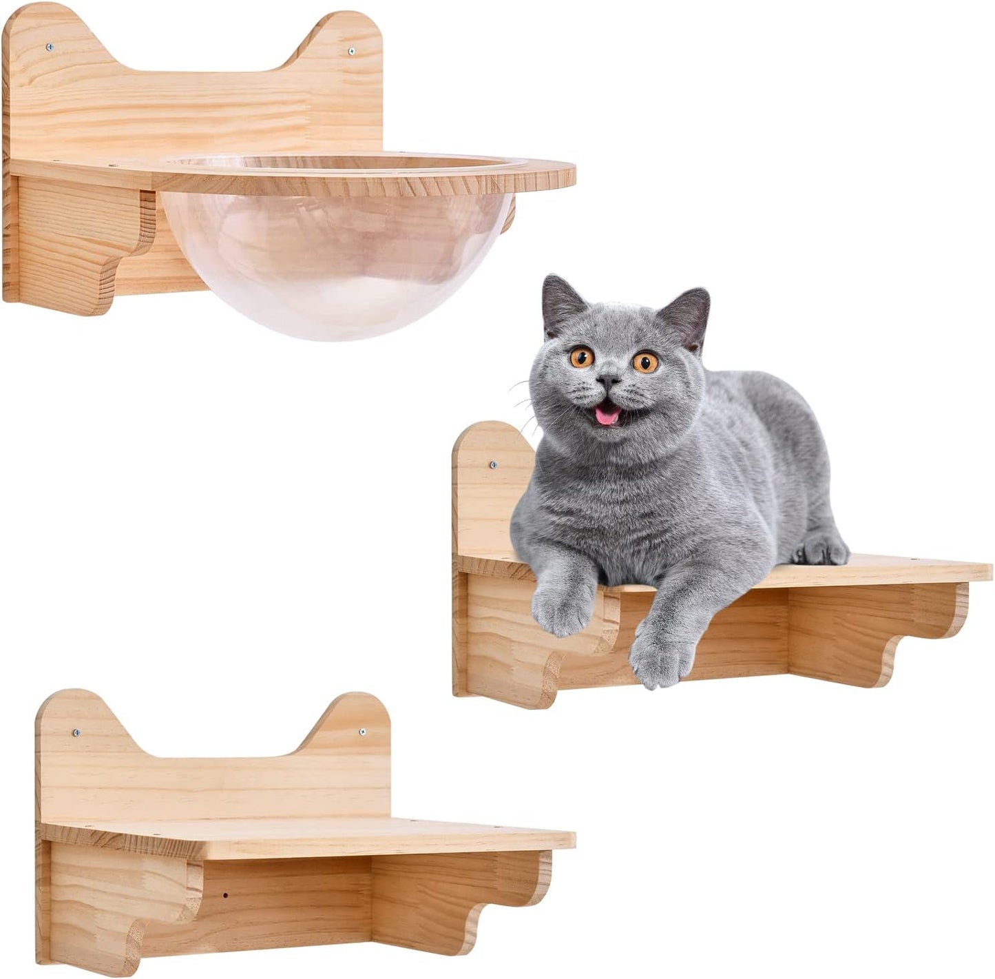 Wooden Cat Space Capsule with Jumping Platforms, Wall-Mounted Pet Bed with Acrylic Dome, Pine Wood Climbing Perch, Large Transparent House for Home, Cat Cafes, Pet Stores, Pet Hospitals