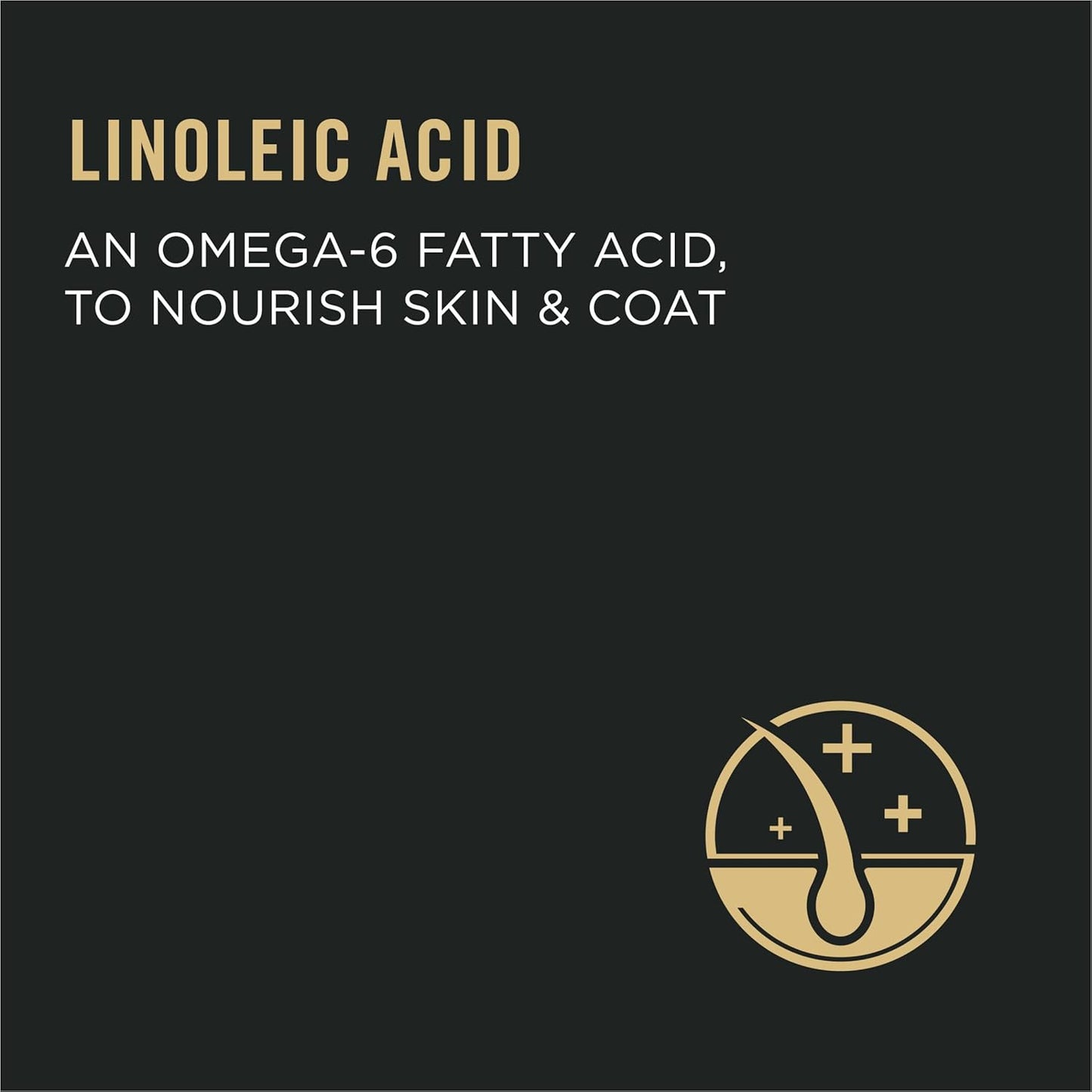 Purina Pro Plan Urinary Tract Cat Food, Chicken and Rice Formula - 22 lb. Bag