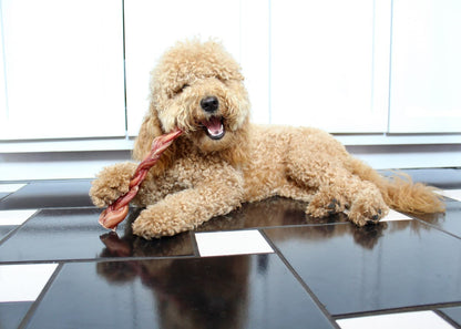 Redbarn Pet Products All-Natural 12" Braided Bully Sticks for Dogs - Premium Slow Roasted Long Lasting Chew Treats Made with 100% Beef - Single Ingredient Low Odor - 5 Count - Packaging May Vary