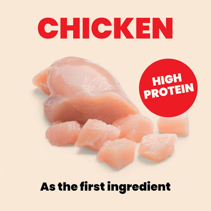 almo nature HQS Natural Wet Cat Food Chicken Recipe in Broth - Kitten, Grain-Free, 2.47 oz (Pack of 24)