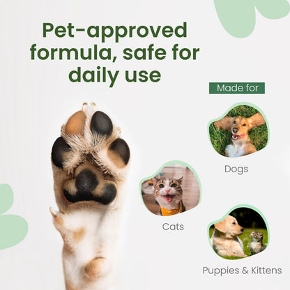 Best Shot Scentament Spa Refreshing Body & Facial Wash for Dogs & Cats, Waterless Dog Wash & Tear Stain Remover, Pet Gentle Face Wash for Sensitive Skin, Sugar Cookie Scent, 16 fl oz