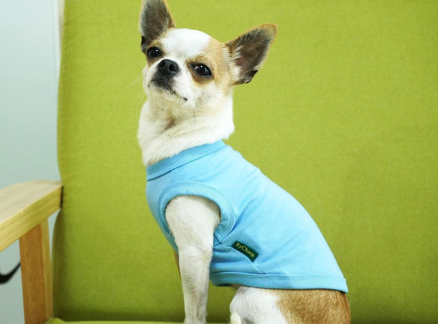 Dog Blank Blue Shirt,Boy Girl Dogs Extra Large Cotton Tee Shirts,Plain Labrador T-Shirt,XXL Blue Royal