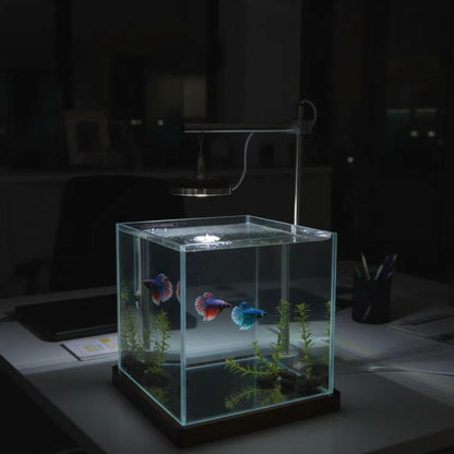 1.8 Gallon Small Fish Tank with LED Light & Wood Stand - 8 Inch Nano Aquarium Betta Tank Starter Kit - Includes Cleaning Tool, Cloth & Mat for Desktop, Office, Bedroom