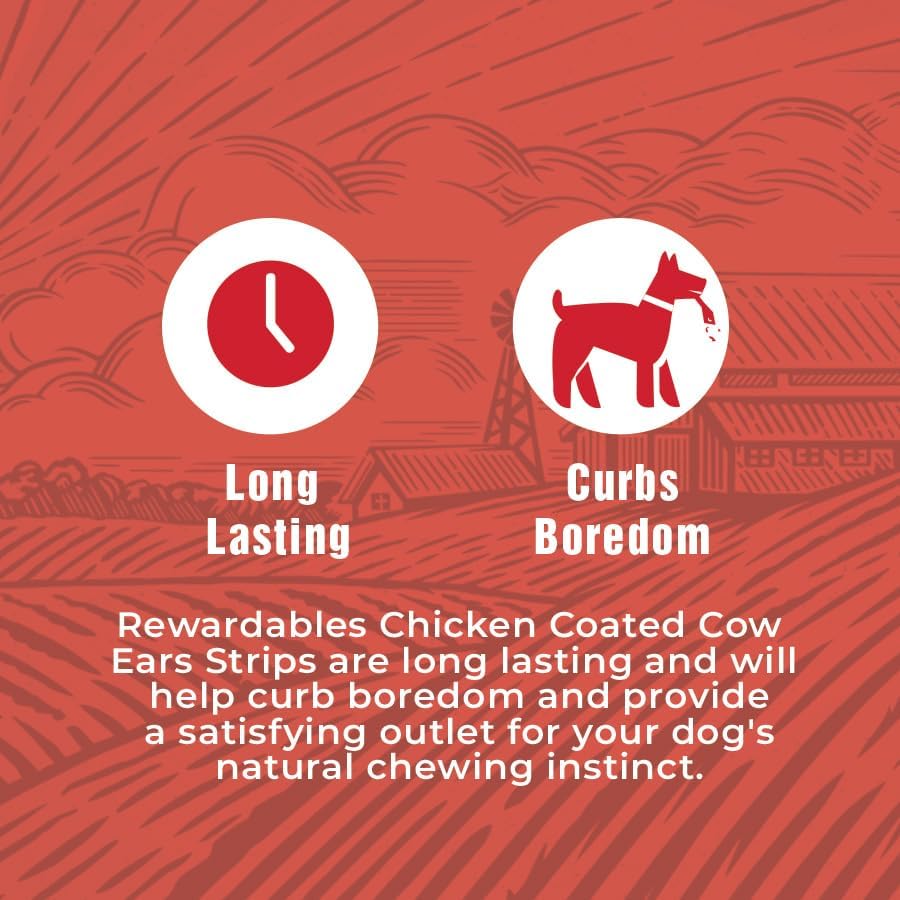 Chicken Coated Cow Ear Strips - Treats for Dogs - 1 Pound Bag