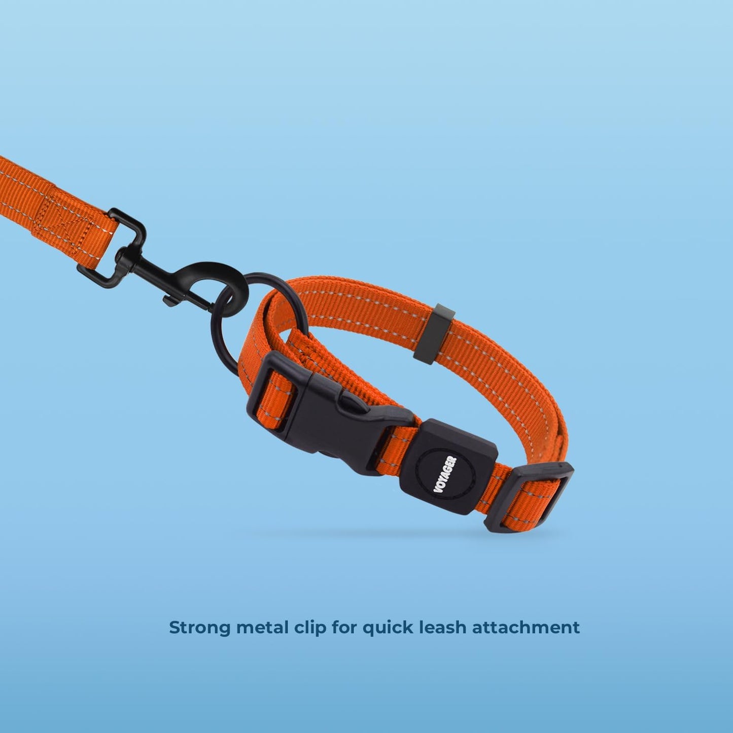 Best Pet Supplies Voyager Reflective Dog Leash or Collar with Neoprene Handle, for Small, Medium, and Large Breed Puppies, Cute and Heavy Duty for Walking, Running and Training - Orange, L