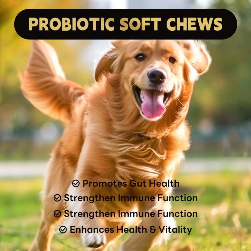 Aarkani Probiotic Supplement for Dogs – Promotes Digestive Health, Soothes Stomach, and Boosts Immunity – Chicken Flavor – Vet-Formulated– 90 Soft Chews