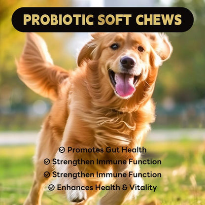 Aarkani Probiotic Supplement for Dogs – Promotes Digestive Health, Soothes Stomach, and Boosts Immunity – Chicken Flavor – Vet-Formulated– 90 Soft Chews