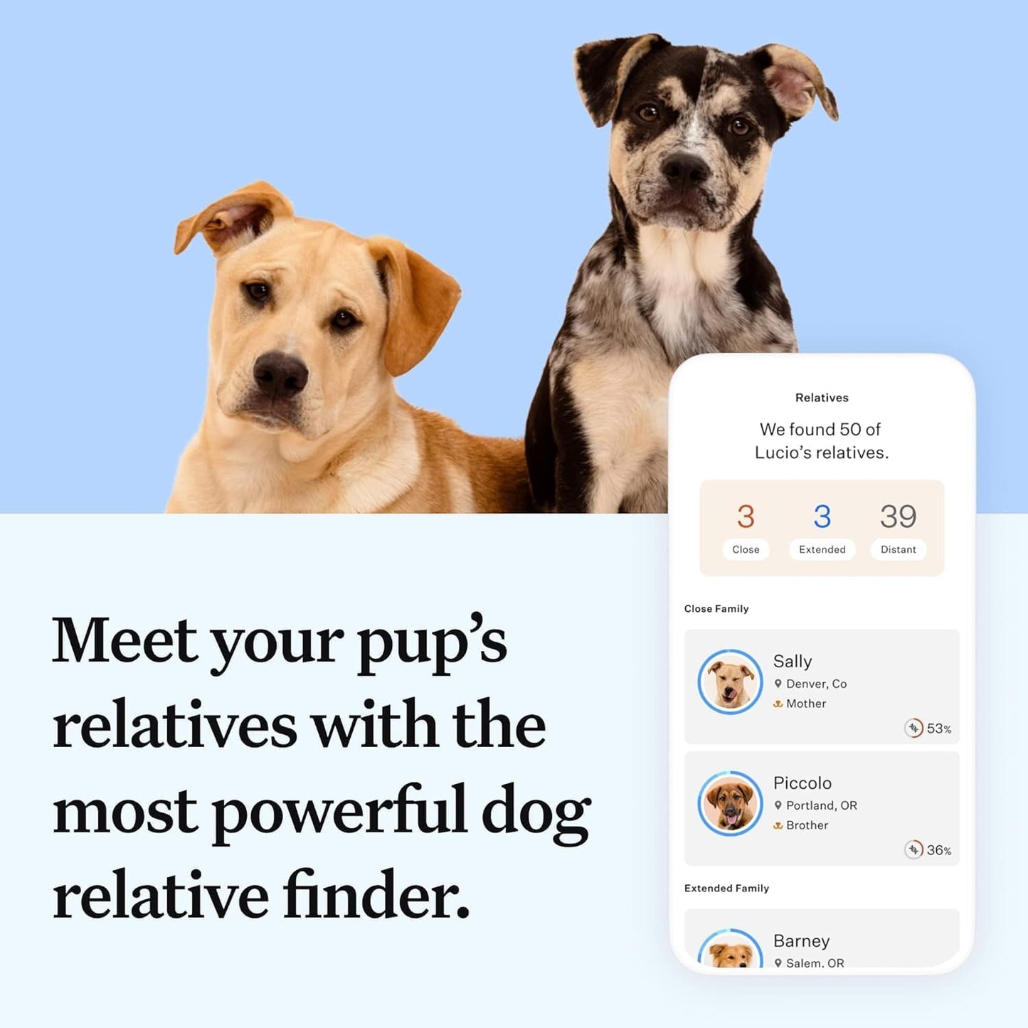 Wisdom Health Essential Dog DNA Kit | Most Accurate Test | 365+ Breeds | 30 Genetic Health Conditions | 50+ Traits, Relatives, Ancestry | Pack of 1