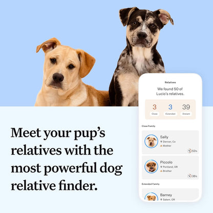 Wisdom Health Essential Dog DNA Kit | Most Accurate Test | 365+ Breeds | 30 Genetic Health Conditions | 50+ Traits, Relatives, Ancestry | Pack of 1