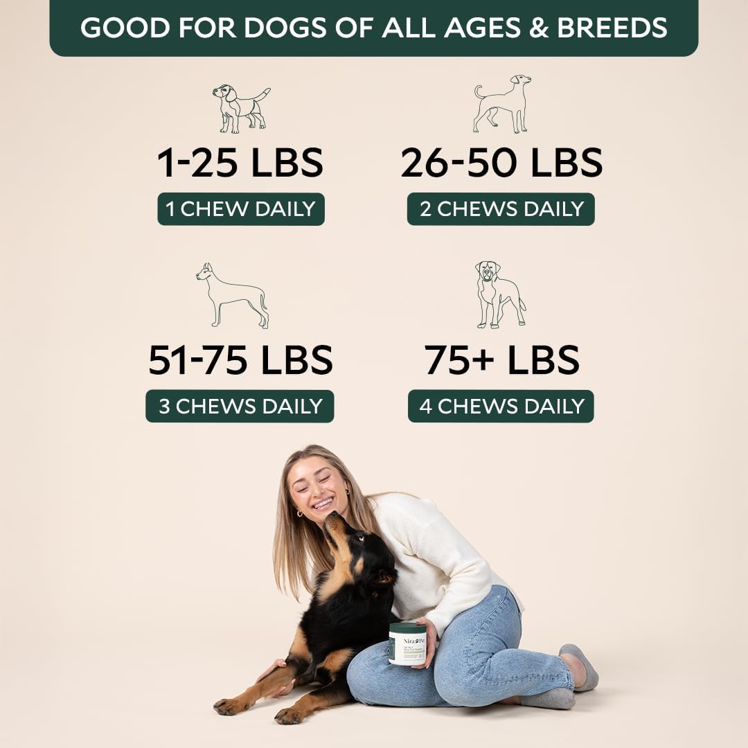 Probiotics for Dogs – 60 Beef-Flavored Chews with Postbiotics, Colostrum, Ashwagandha & Lactobacillus – Supports Gut Health, Immunity, Diarrhea, Gas & Stress