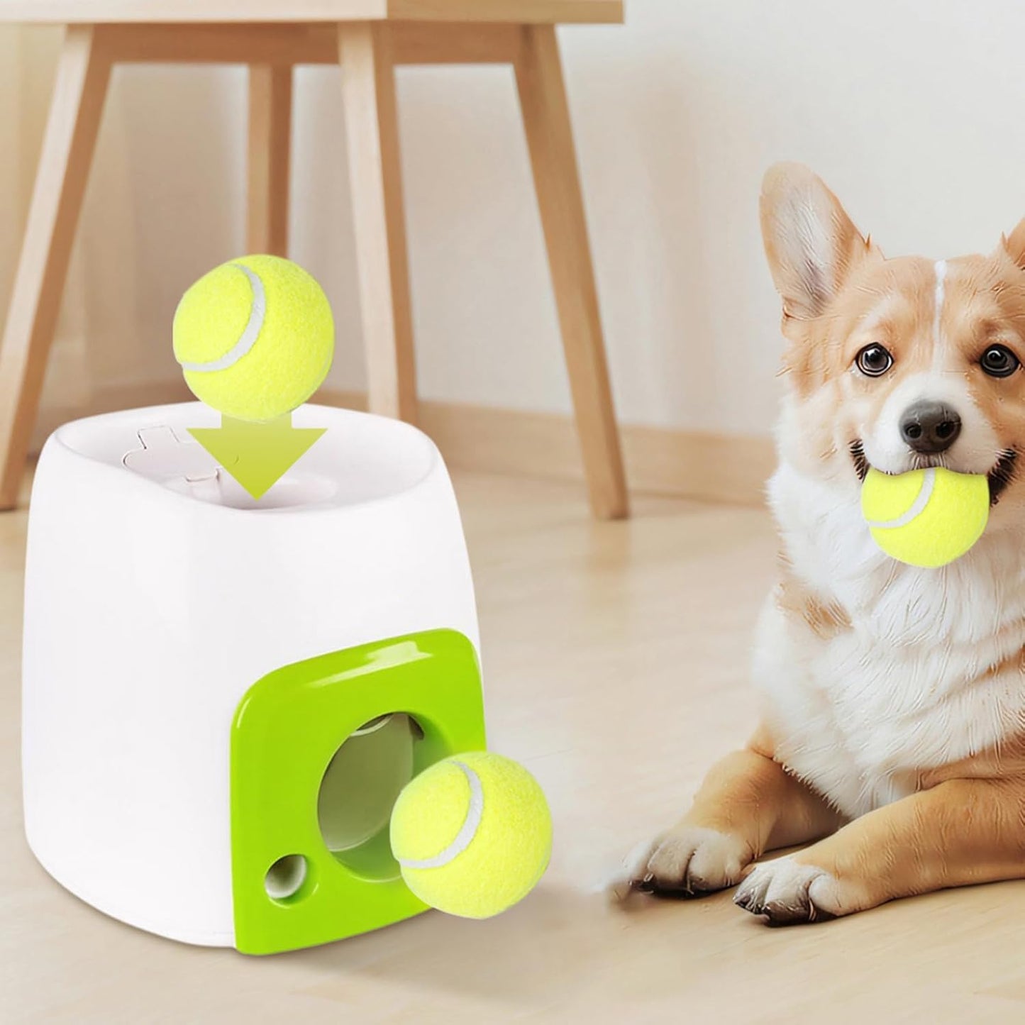 Dog Ball Launcher Launcher,Automatic Dog Ball Launch,Automatic Dog Tennis Ball Launch - Toy Training Reward Machine in
