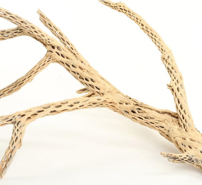 Koyal Wholesale 24" Cholla Wood Aquarium Leopard Gecko Tank Accessories Untreated Large Driftwood for Aquarium Wood Hermit Crab Accessories Drift Wood for Shrimp Tank Gecko Accessories