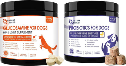 Glucosamine and Probiotics for Dogs