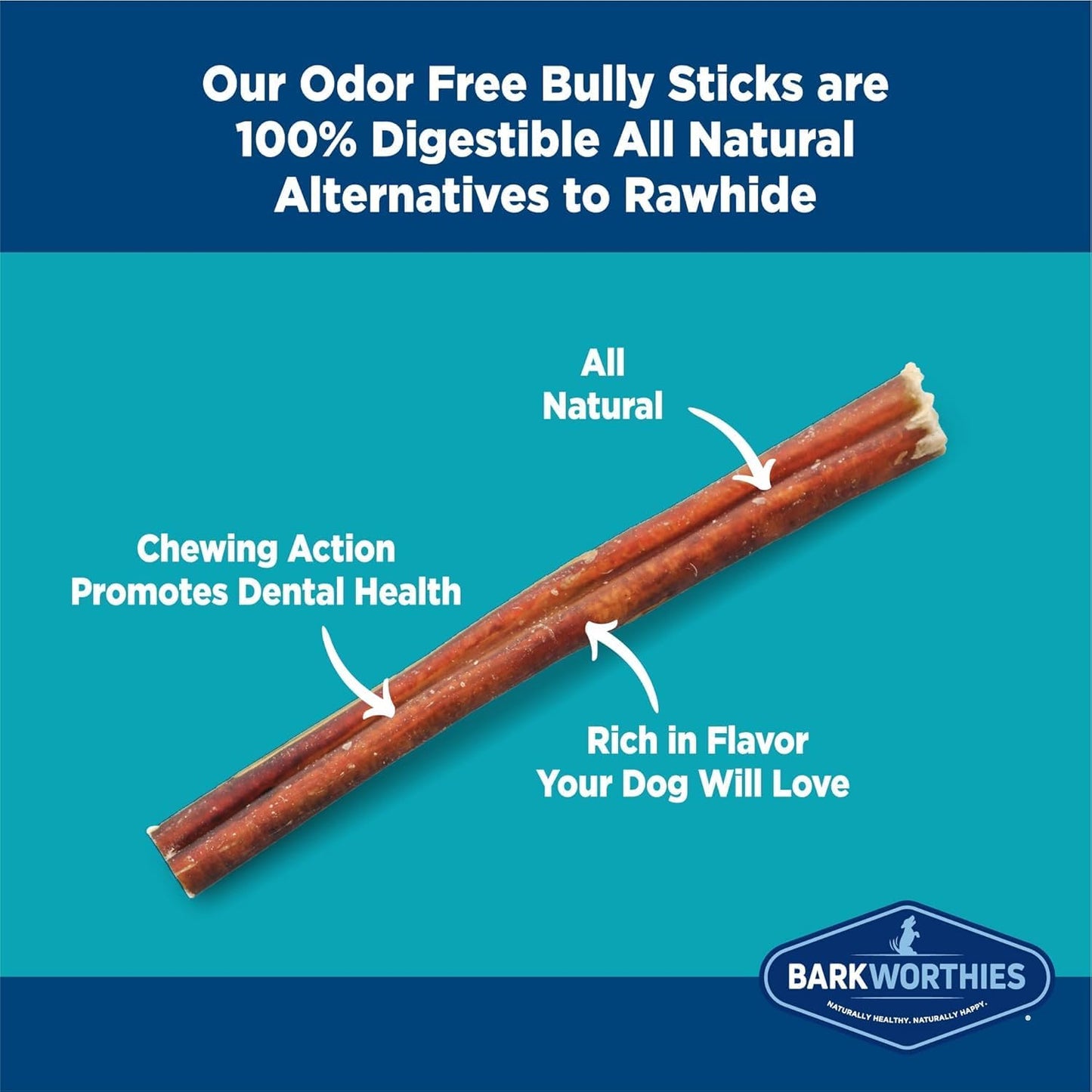 Barkworthies Odor Free Bully Sticks - 2 Pack (5 ct 6 inch) Premium Long Lasting, Protein-Packed, Grain Free Dog Treats and Dog Chews for Aggressive Chewers - Promotes Healthy Teeth for Dogs