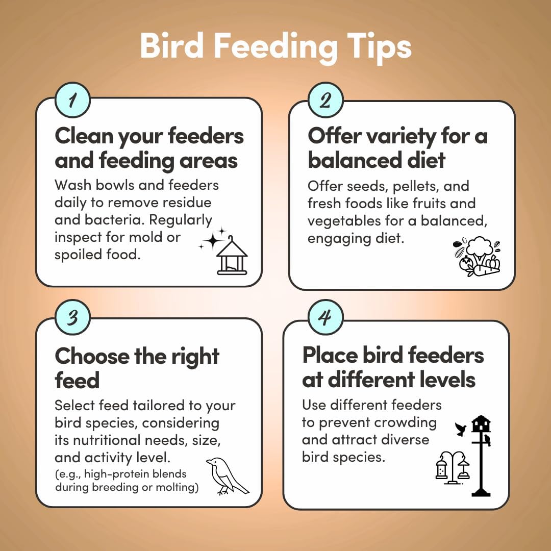 Mycelium Organic Oat Groats for Birds (5 LB Bag) | Clean, Non-GMO Grain Treat or Food Additive | Debris & Dust-Free Advanced Sifting | Ideal for Small Pet & Ground-Feeding Wildlife Birds | Made in USA