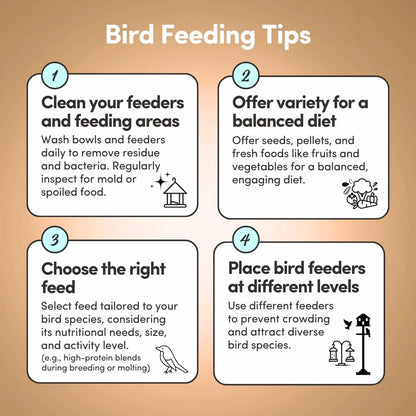 Mycelium Organic Oat Groats for Birds (5 LB Bag) | Clean, Non-GMO Grain Treat or Food Additive | Debris & Dust-Free Advanced Sifting | Ideal for Small Pet & Ground-Feeding Wildlife Birds | Made in USA