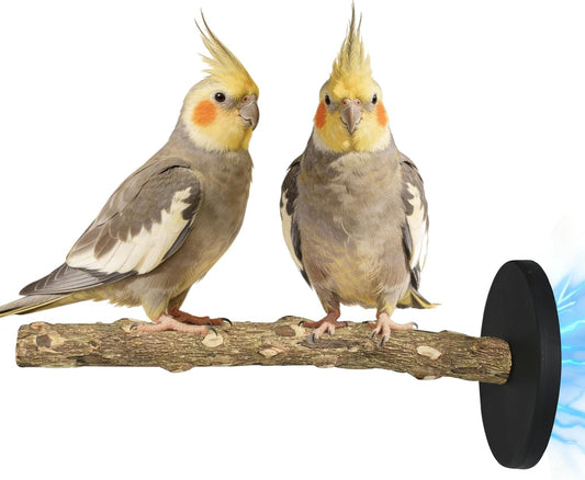 Strong Magnetic Bird Perch, Natural Wood Training Stand for Parrots, Parakeets, Lovebirds and Other Small Birds,No Drill Installation Fit for Indoor/Outdoor