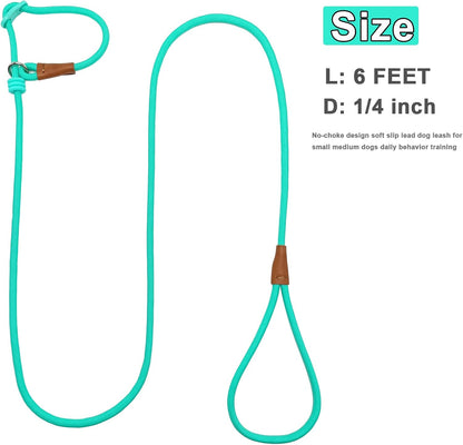 7ft Slip Lead Dog Leash + 6ft Small Slip Lead Dog Training Leash for Small Dogs, Black+Turquoise
