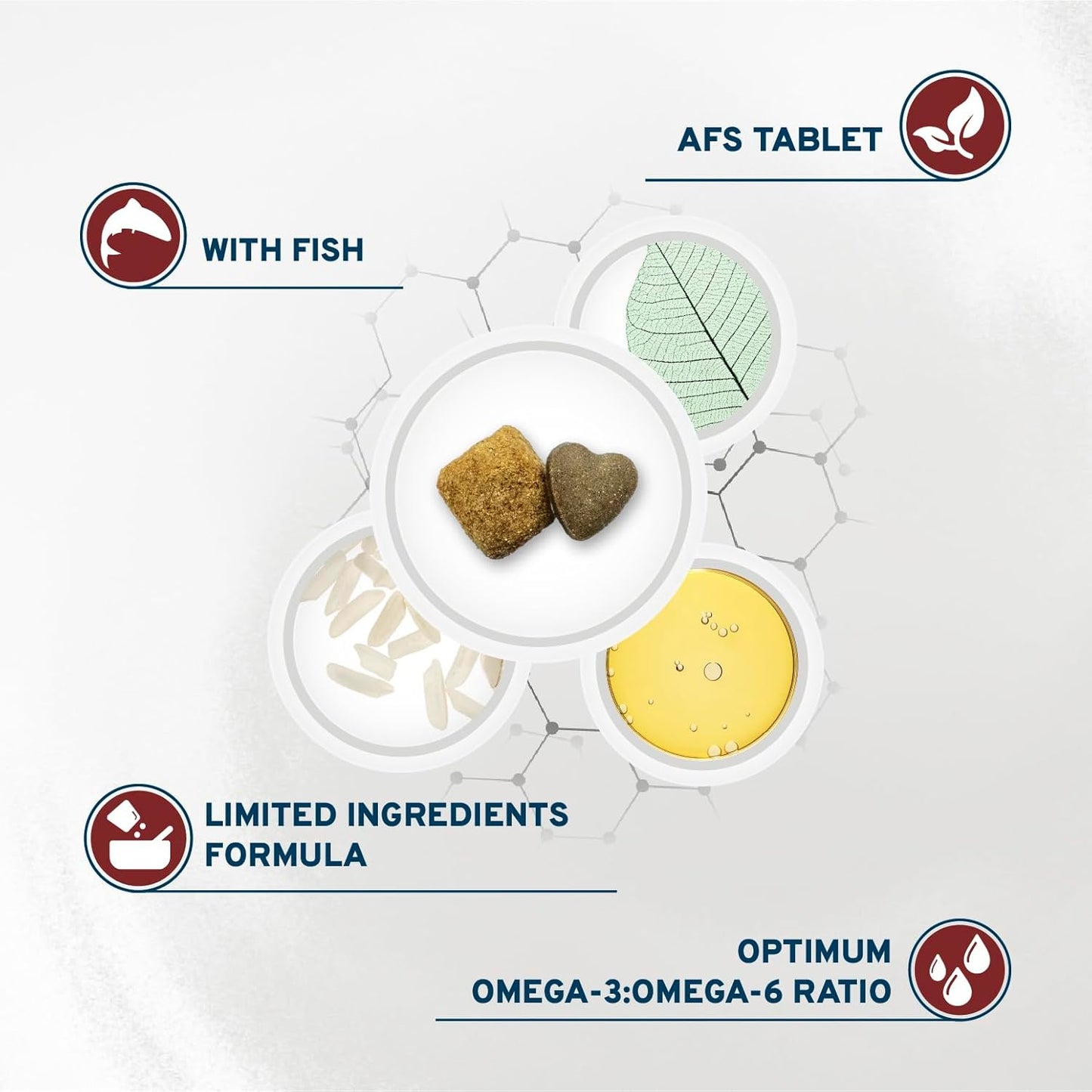 Forza10 - Dog Food, Dermo Dry Food for Itchy Skin, Sensitive Stomach & Coat Health, Limited Ingredient Dog Food, Non-GMO, Fish Flavor, Made in Italy (22 lb)