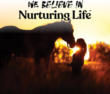 Manna Pro Bite-Size Nuggets for Horses, Pocket Sized Training Horse Treats, Apple Flavored Treats, Packs with Vitamins & Minerals, Great Taste Guaranteed, 4 lbs