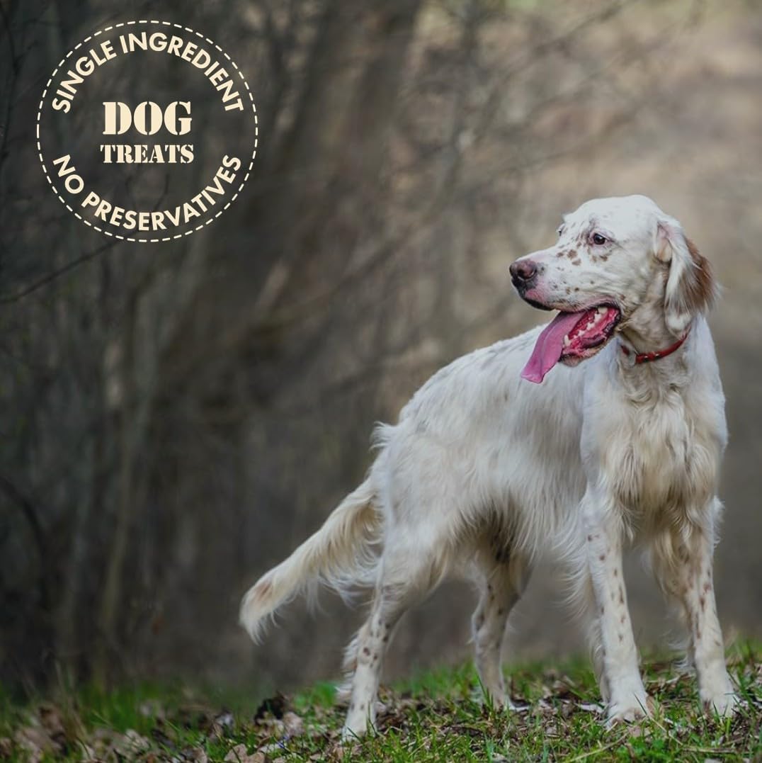 MVPChews | Single Ingredient Beef Liver Dog Treats 3.5oz | Freeze Dried Raw | Premium Quality High Protein Training Treats | No Additives | No Fillers | No Grain | Gluten Free