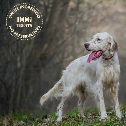 MVPChews | Single Ingredient Beef Liver Dog Treats 3.5oz | Freeze Dried Raw | Premium Quality High Protein Training Treats | No Additives | No Fillers | No Grain | Gluten Free