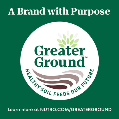 Nutro Crunchy Dog Treats with Real Mixed Berries, 16 oz. Bag