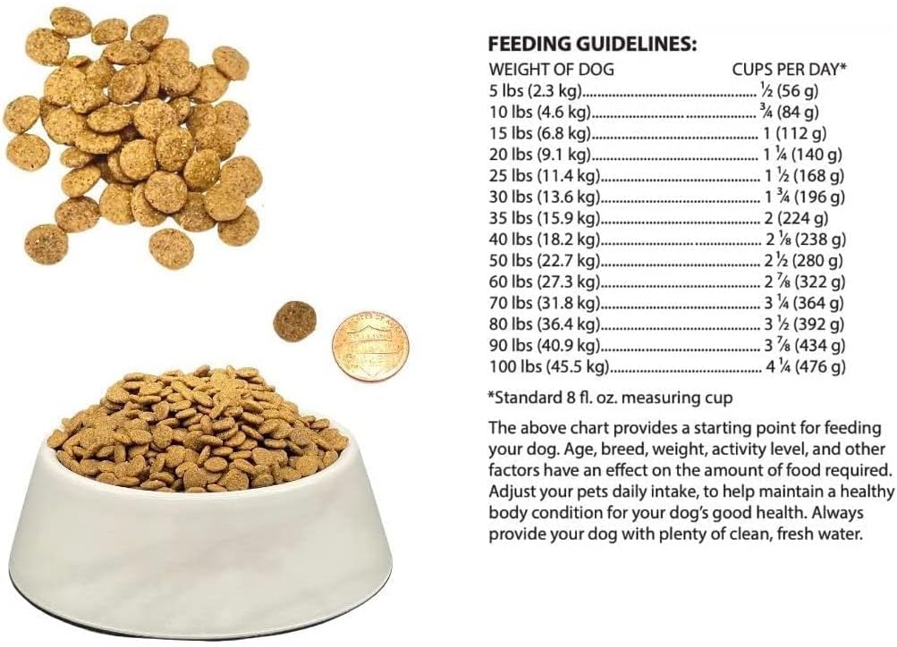 Bench & Field Holistic Natural Adult Dry Dog Food, Chicken Meal and Brown Rice Recipe 6.6 lb Bags (Pack of 3)