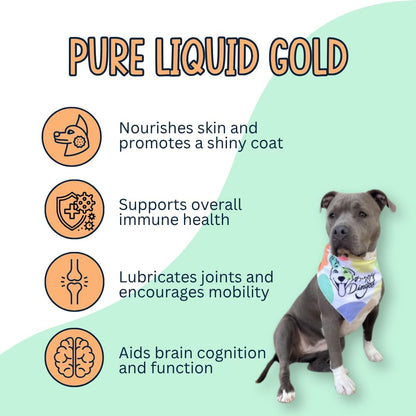 Wild Alaskan Salmon Oil, Natural Fish Oil Supplement, Made in USA, for Dogs and Cats, Omega-3 Rich