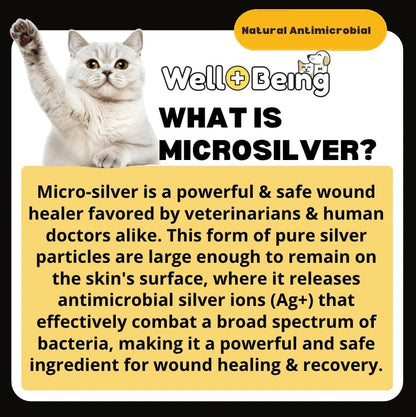 Well-Being Manuka Honey Silver Rapid Wound Repair Ointment for Dogs, Cats and Horses Superior Healing Qualities for Rapid Repair of Cuts, Surgical Inscisions, Abrasions Prevents Infection 2 Ounce