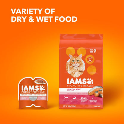 IAMS Proactive Health Healthy Adult Dry Cat Food with Real Salmon, 22 lb. Bag
