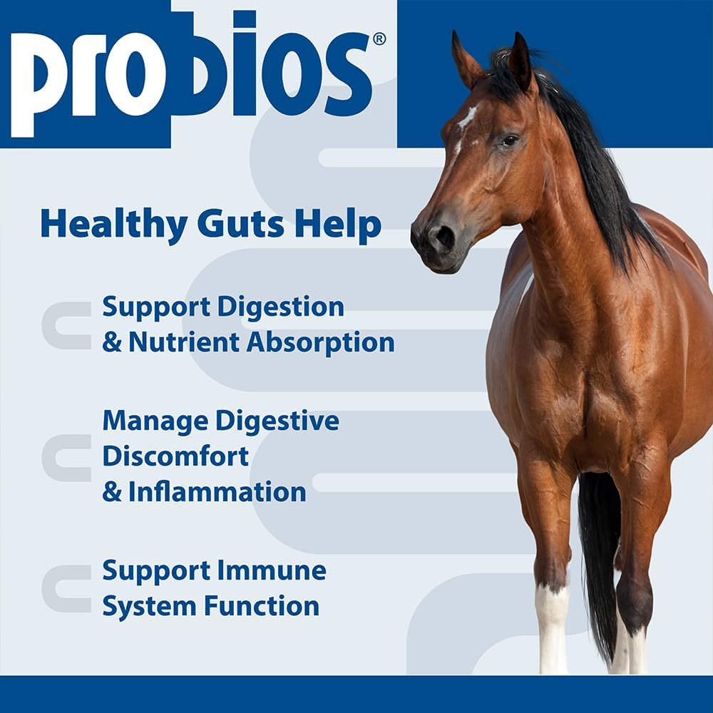 Probios for Horses Soft Chews, Daily Probiotic Supplement for Gut Health, Digestion & Immune Support, Horse Supplies, Apple Flavor, 1.32 lbs (600 Grams) (Pack of 2)