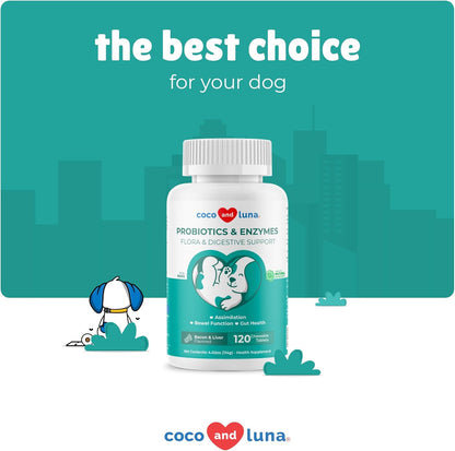 Probiotics for Dogs - 120 Chewable Tablets - Diarrhea & Gas Support - with Honey Pumpkin and Prebiotics for Dog Allergies, Bad Breath & Constipation Support