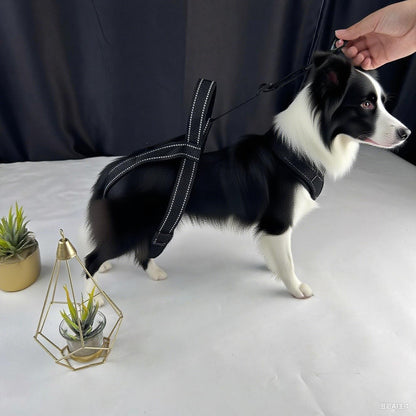 New Upgraded Dog Hind Leg Support Harness, Rear Leg Support Harness - Mobility Aid for Disabled & Paralyzed Pets, Rehabilitation Sling for Hind Leg Assistance (S-Thigh（Small)