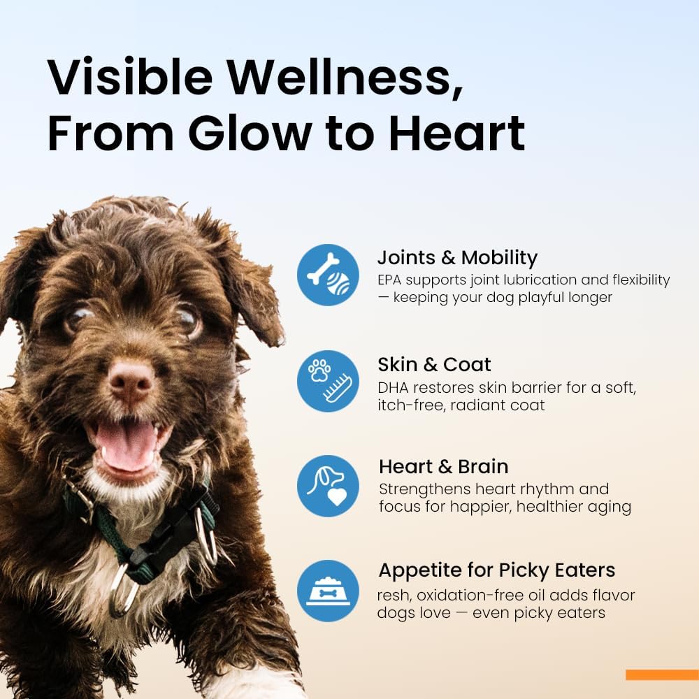 Norwegian Omega 3 for Dogs – Human Grade Fish Oil with IFOS 5-Star, Maximum Absorption, Patented, Vet Approved, Supports Skin & Coat, Joints, Heart & Brain, Individually Sealed Sachets