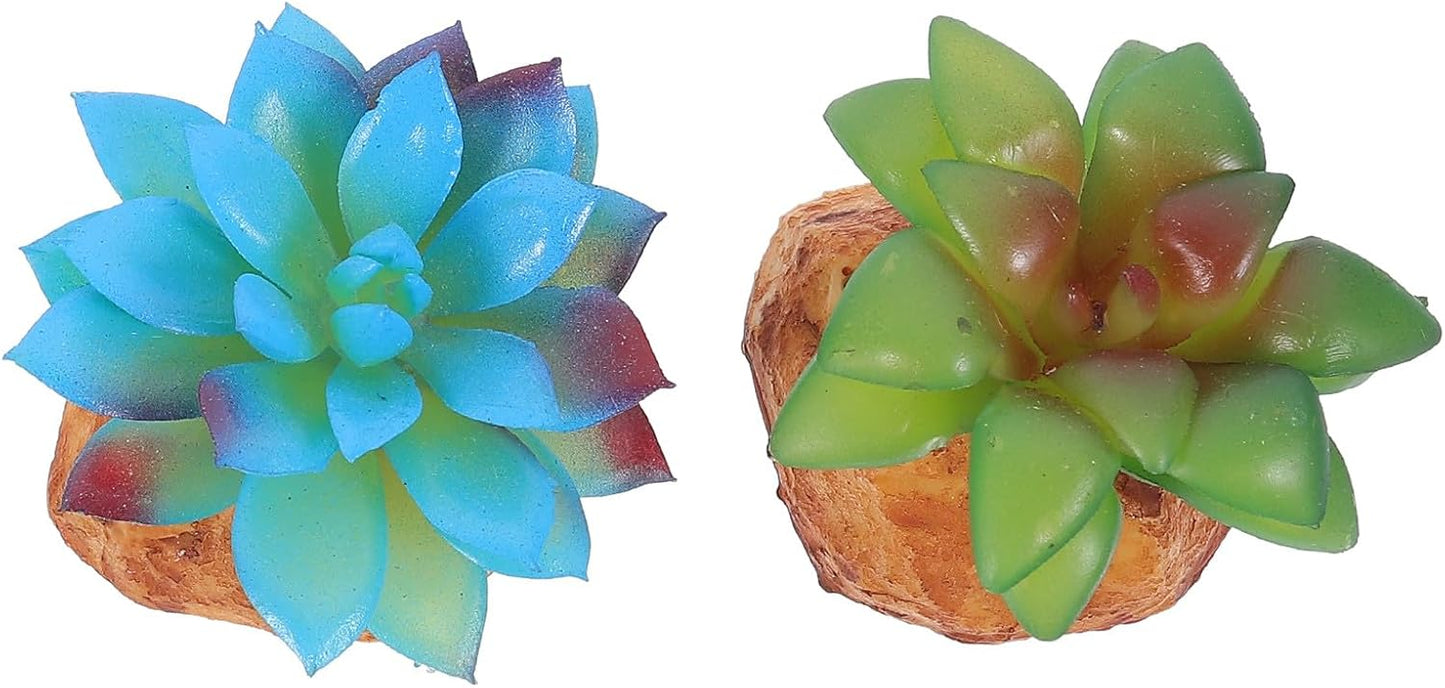 2Pcs Reptile Tank Artificial Succulent Plants Decor Set Lifelike Simulation Plants Adornment for Reptile Habitat Box Sturdy Plastic Terrarium Landscaping Accessories for