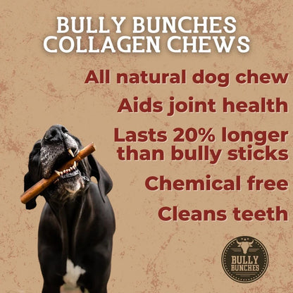 Bully Bunches Premium Beef Collagen Chews for Dogs – All-Natural, Long-Lasting Dental Treats, Protein-Rich, Grain-Free, Healthy Digestive Support for Dogs (6 Inch - 5 Pack)