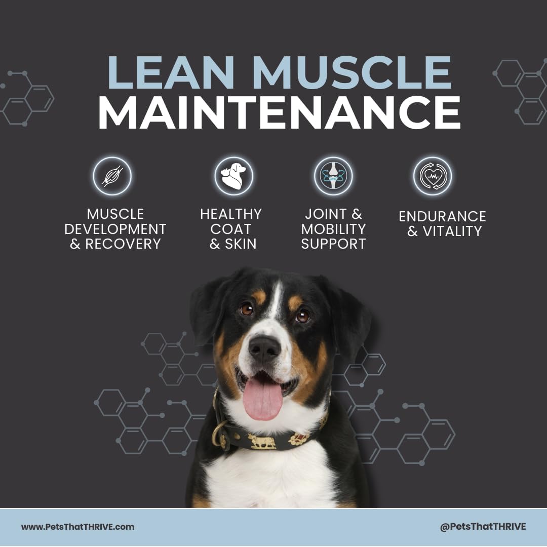 Thrive Daily Amino Acids for Dogs – Muscle Health, Recovery, Energy & Longevity – Supports Joints, Skin & Coat – Peanut Butter Soft Chews, 30 Count (4.8oz)