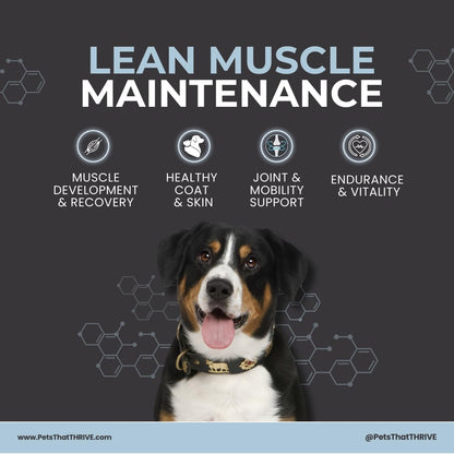 Thrive Daily Amino Acids for Dogs – Muscle Health, Recovery, Energy & Longevity – Supports Joints, Skin & Coat – Peanut Butter Soft Chews, 30 Count (4.8oz)