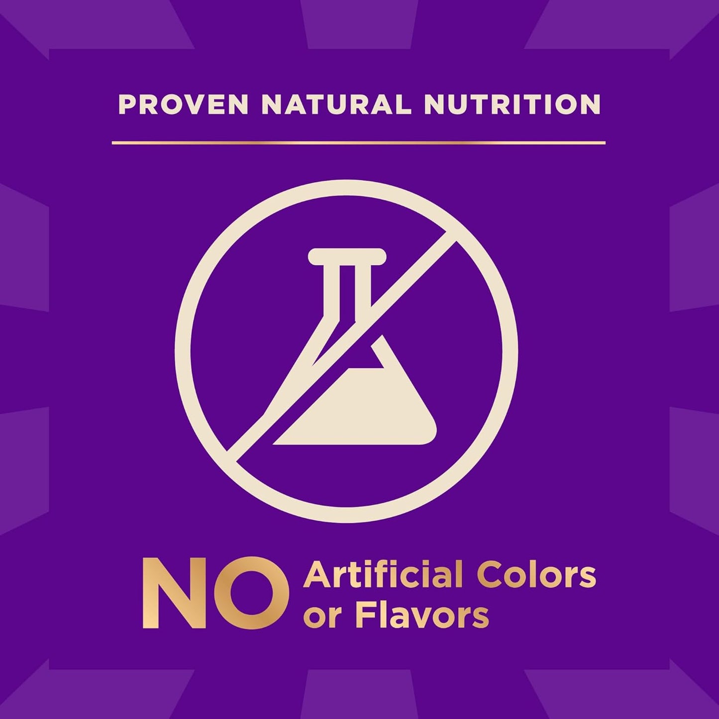 Wellness CORE+ Dry Dog Food with Freeze Dried Pieces, Wholesome Grains, High Protein, Natural, Beef & Barley Recipe, (4-Pound Bag)