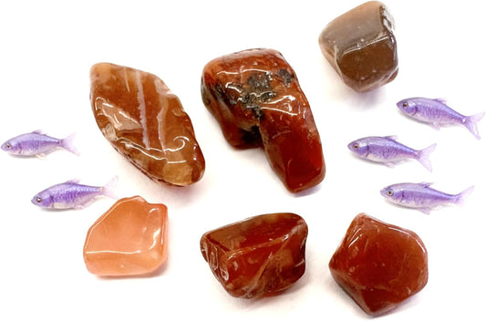 23. AD400 Red Agate Aquarium Décor Rocks Notable for Their Vibrant Bands of Crimson Red and Pure White Natural Layering