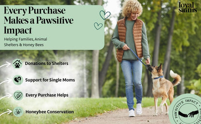 Freeze Dried Raw Dog Food - Beef & Turkey Salmon Flavors, 14 oz. | High Protein and Grain Free Dog Food for All Breeds and Picky Eaters - Versatile as Meal Topper, Snack, and Treats