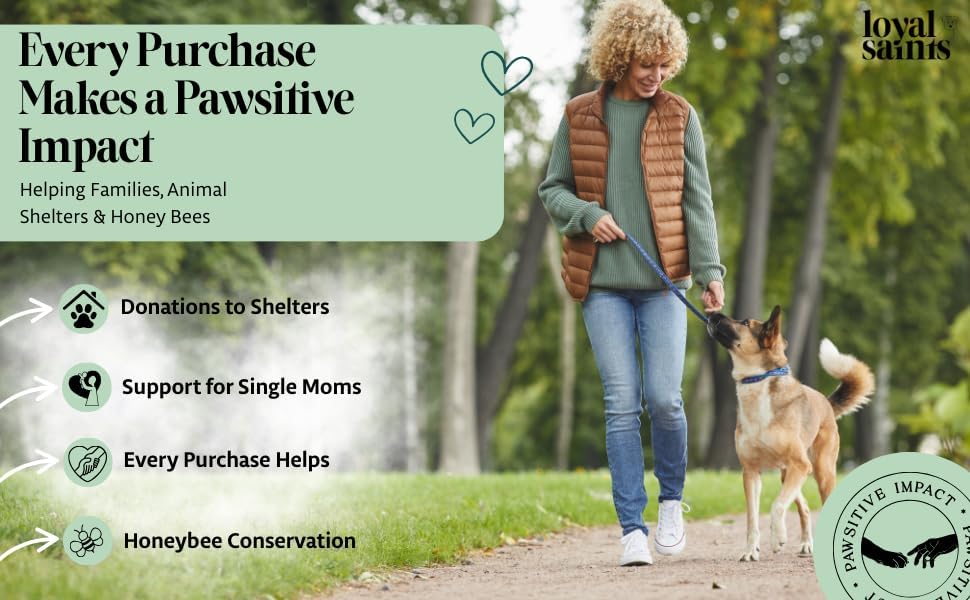 Freeze Dried Raw Dog Food - Beef & Turkey Salmon Flavors, 14 oz. | High Protein and Grain Free Dog Food for All Breeds and Picky Eaters - Versatile as Meal Topper, Snack, and Treats