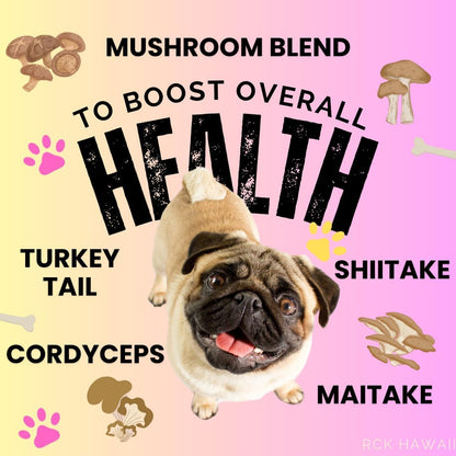 Multi Vitamin Chews for Dogs with Mushroom Blend, Ashwagandha– Immune, Joint, and Digestive Health, 6.35 oz 60 Chews