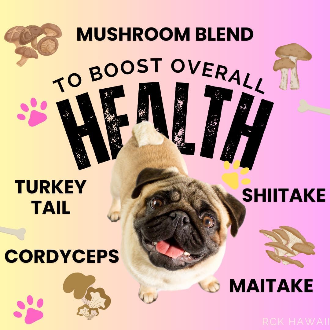 Multi Vitamin Chews for Dogs with Mushroom Blend, Ashwagandha– Immune, Joint, and Digestive Health, 6.35 oz 60 Chews