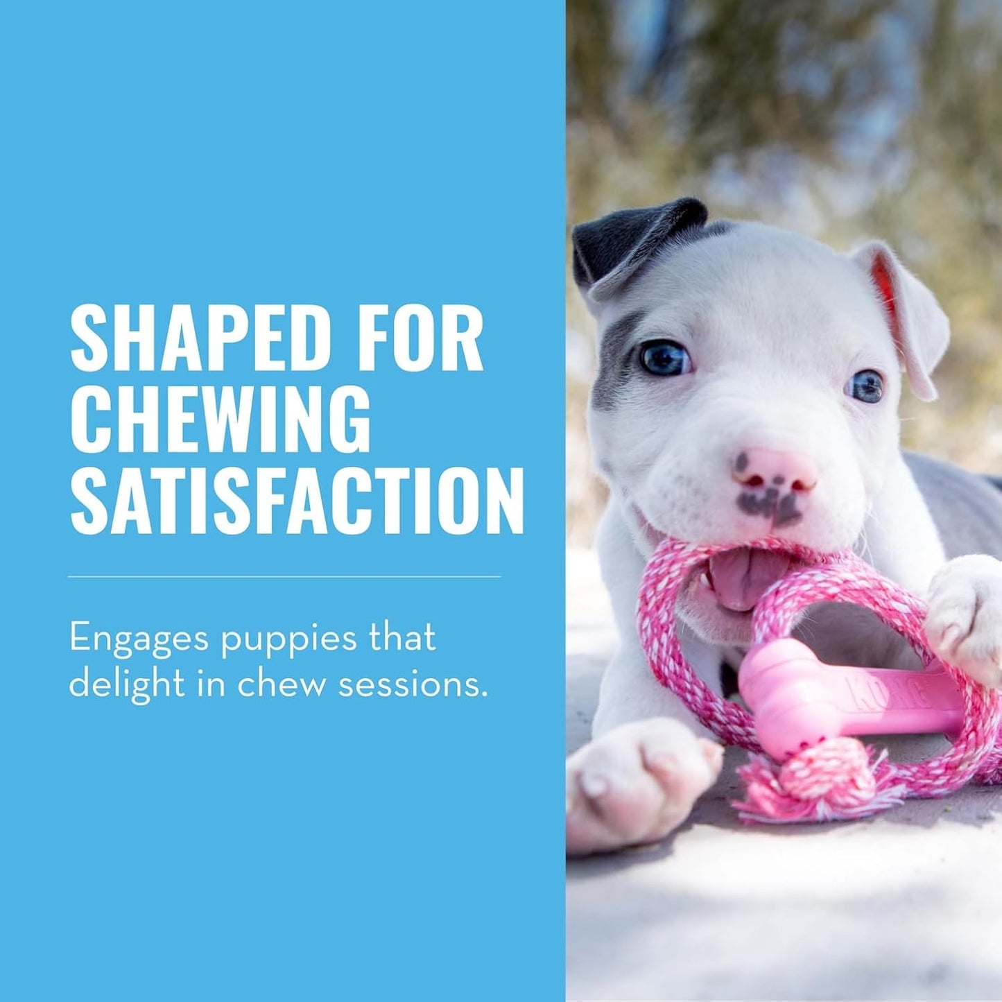 KONG Puppy Goodie Bone with Rope - Natural Rubber Bone with Cotton Rope - Teeth Cleaning Chew Toy for Growing Puppies - for XS Puppies - Pink